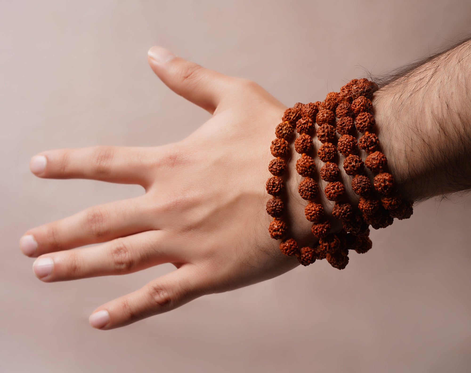 Panchmukhi Rudraksh (Dark)