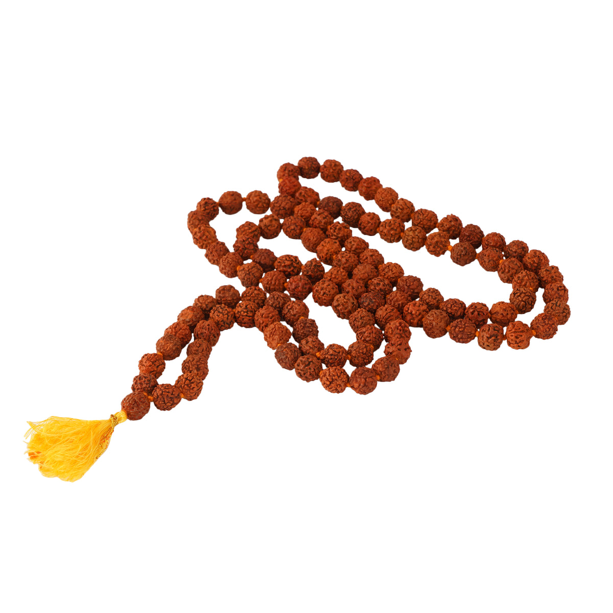 Panchmukhi Rudraksh (Dark)