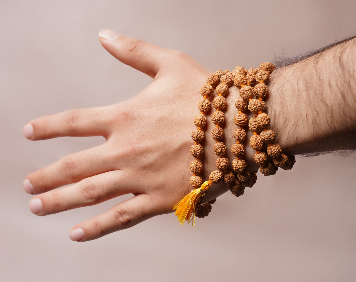 Panchmukhi Rudraksh (Light)