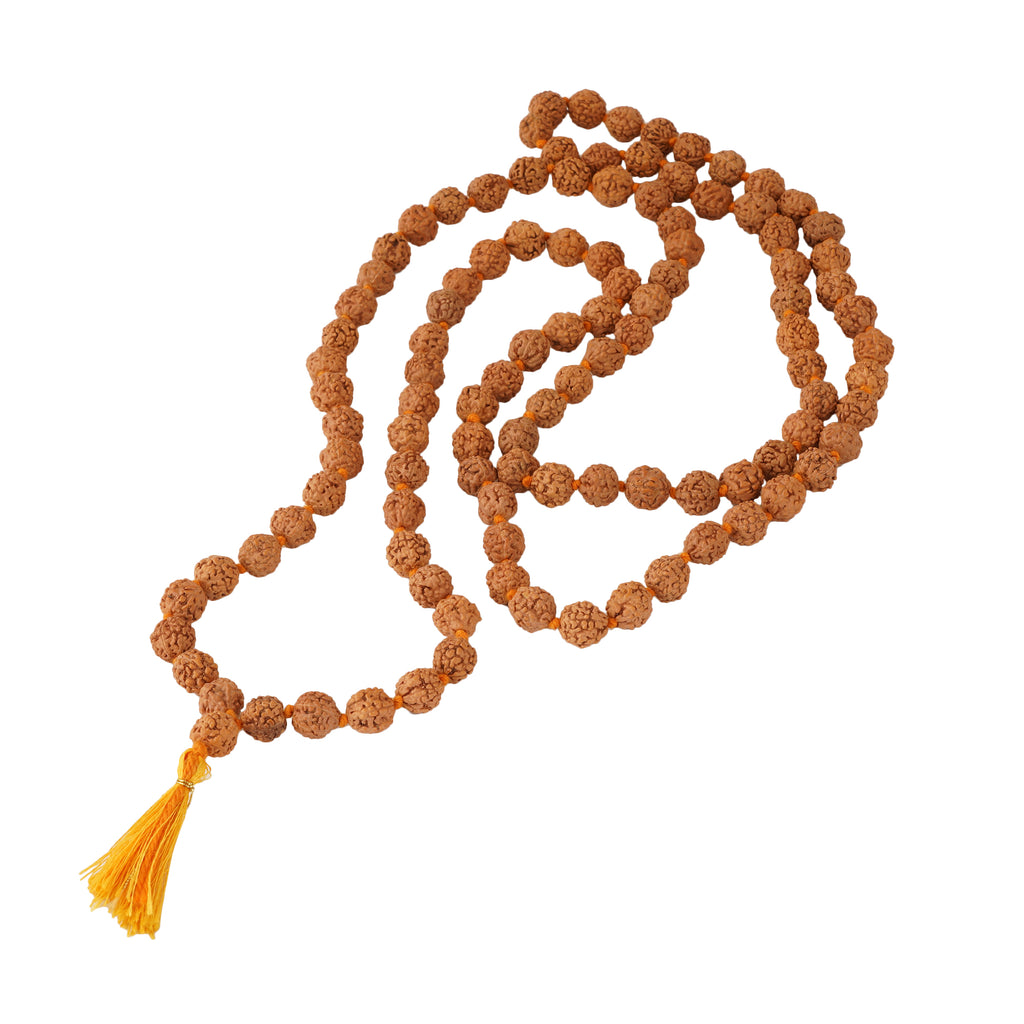 Panchmukhi Rudraksh (Light)