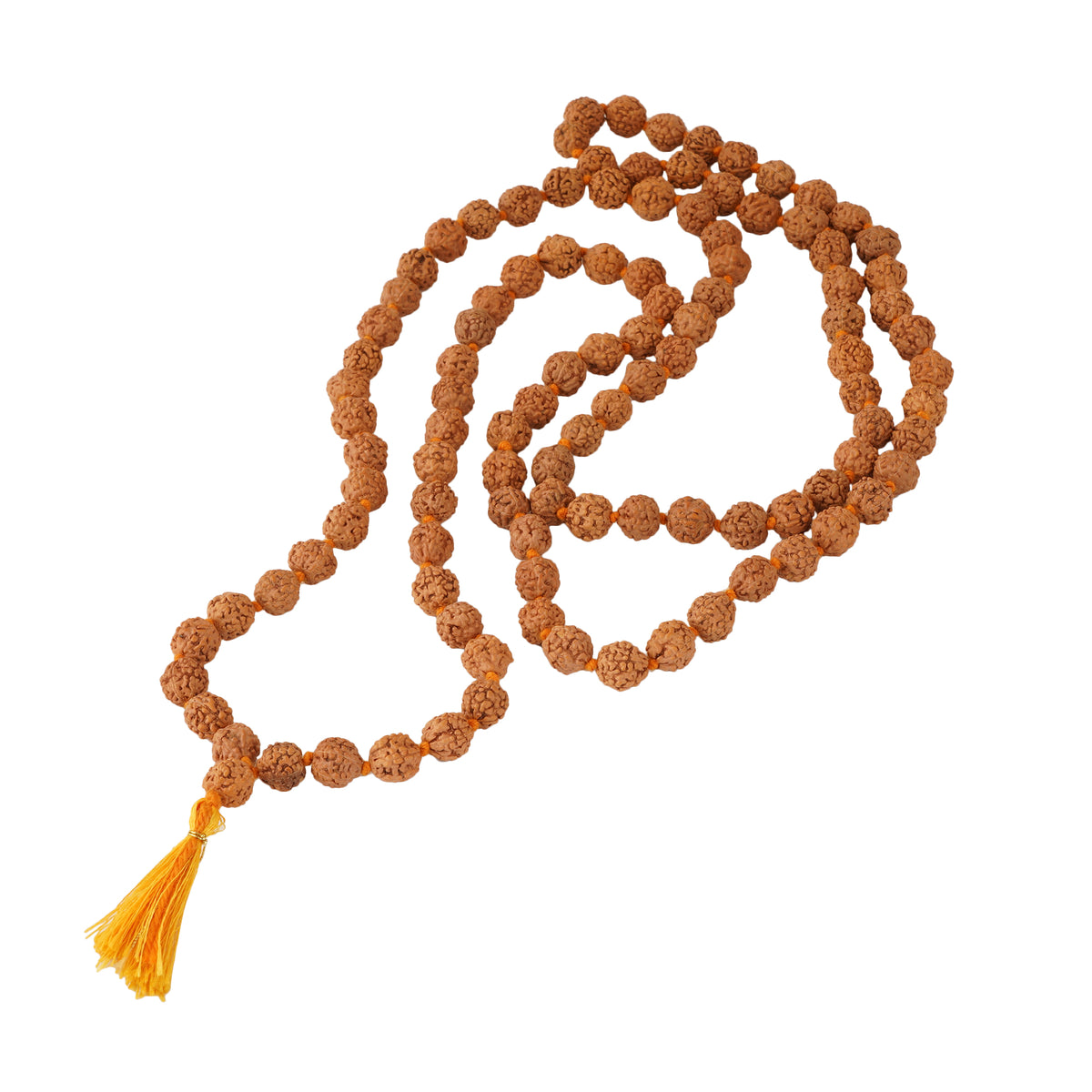 Panchmukhi Rudraksh (Light)