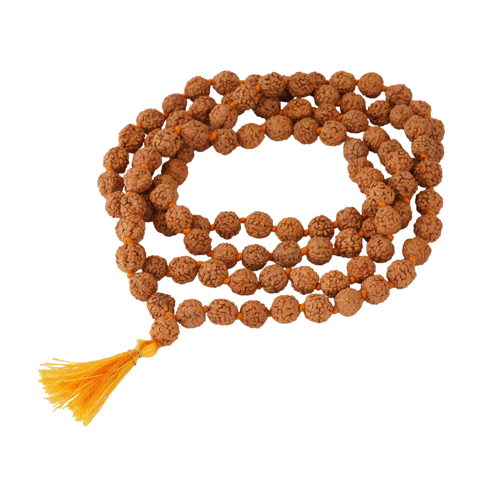 Panchmukhi Rudraksh (Light)