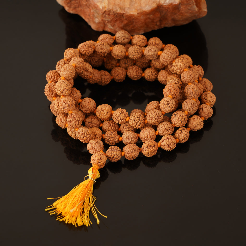 Panchmukhi Rudraksh (Light)